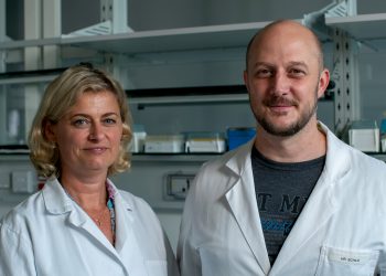 Recycling Seltener Erden aus Elektronikschrott: EU-Programm Interreg schafft Basis für niederösterreichisch-tschechische Technologieentwicklung
