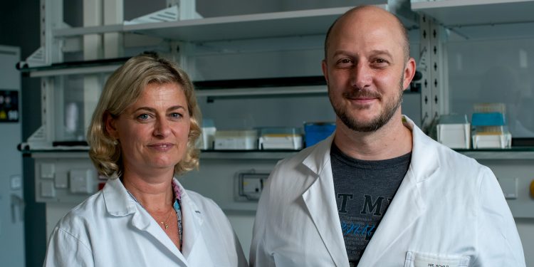 Recycling Seltener Erden aus Elektronikschrott: EU-Programm Interreg schafft Basis für niederösterreichisch-tschechische Technologieentwicklung