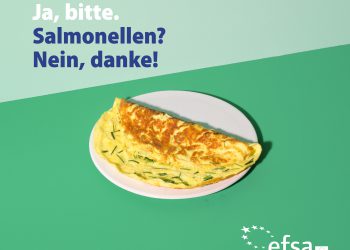 Durch Lebensmittel übertragene Krankheiten: Wie schützt man sich vor Salmonellen?