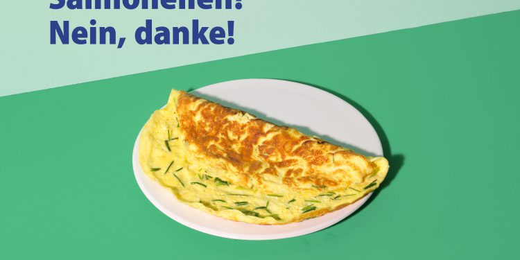 Durch Lebensmittel übertragene Krankheiten: Wie schützt man sich vor Salmonellen?