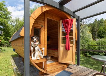 Noch nicht den richtigen Platz gefunden, um die Ostereier zu verstecken?