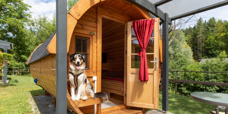 Noch nicht den richtigen Platz gefunden, um die Ostereier zu verstecken?