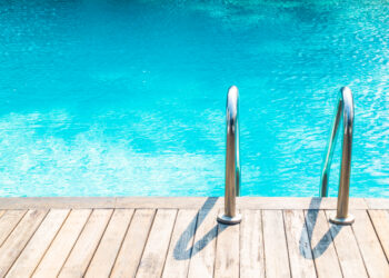 ÖVS-Poolgespräche auf der Gartenbaumesse Tulln