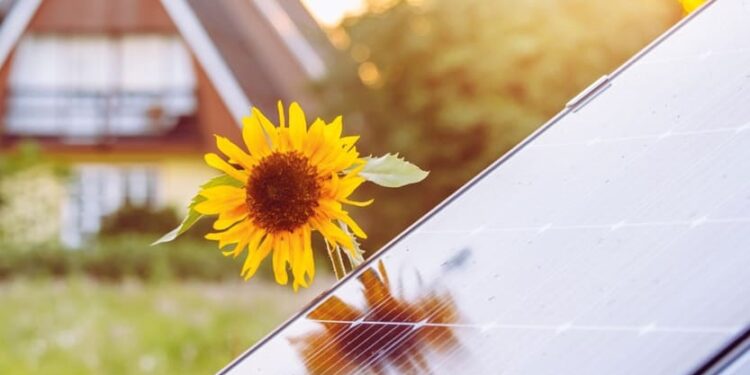 Energiemanagement in Immobilien: Experten-Webinar beleuchtet Chancen und Potentiale von Photovoltaik in der Immobilienwirtschaft