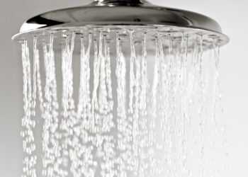 Keime aus dem Duschkopf: Hitze begünstigt Legionellen-Bildung