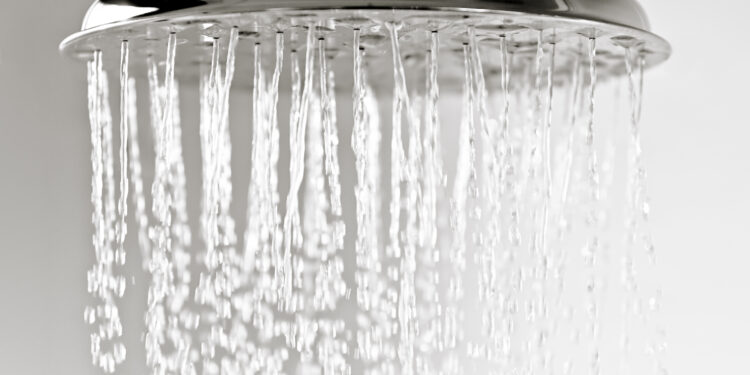 Keime aus dem Duschkopf: Hitze begünstigt Legionellen-Bildung