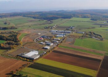 The New Originals Company führt Bio-Tofu-Geschäft von Tofutown in die Zukunft