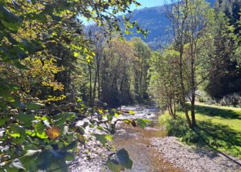 Klimawandel in Österreich: Vom Starkregen bis zur Trockenheit