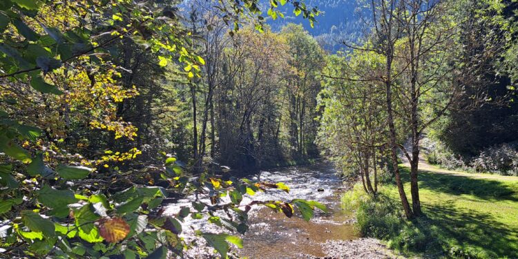 Klimawandel in Österreich: Vom Starkregen bis zur Trockenheit