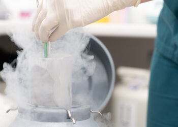 Tiny Feet begrüßt rasche Umsetzung von Social Egg Freezing