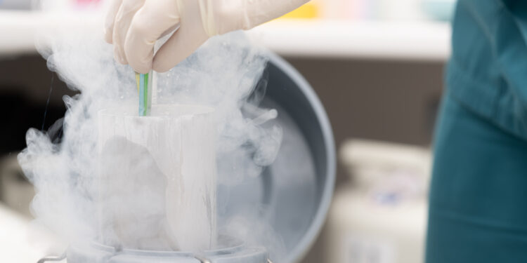 Tiny Feet begrüßt rasche Umsetzung von Social Egg Freezing